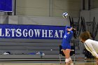 Women’s VB intersquad  Women’s Volleyball inter-squad match. : Women’s Volleyball, VB, inter squad, intersquad